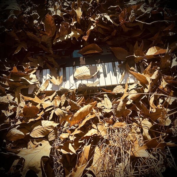 Dirty Keys album cover
